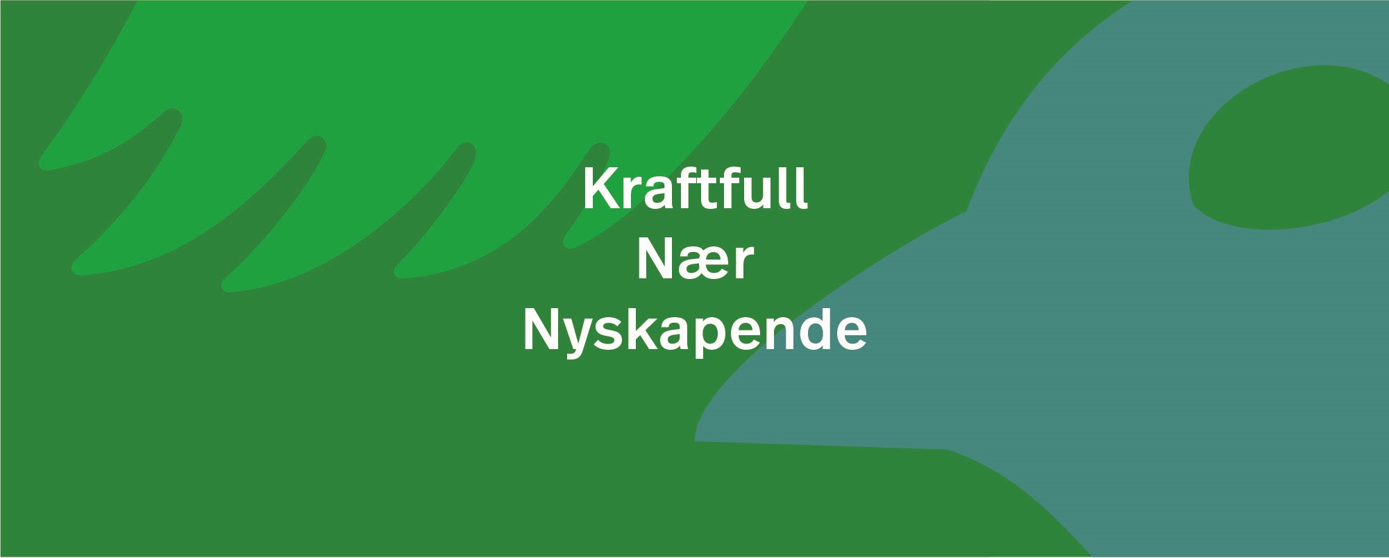 Sirdal kommune